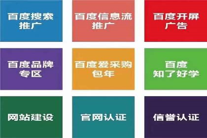 某公司SEM推广的失败教训与成功经验
